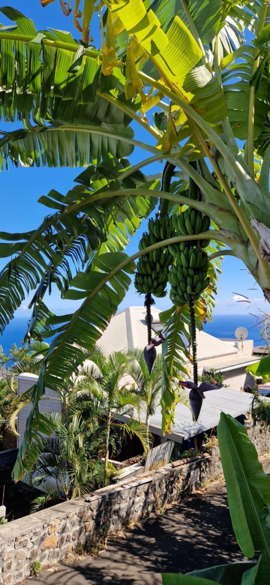 Villa Maloya 생뢰 외부 사진